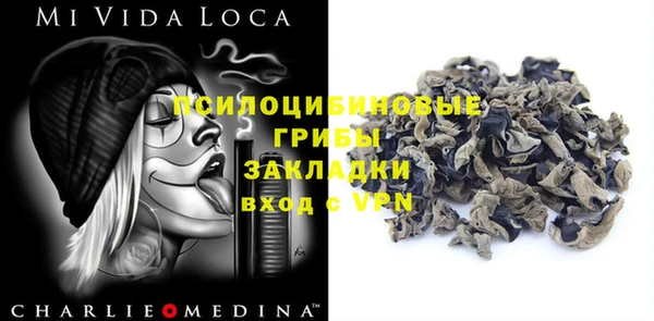 прущий лед Алзамай