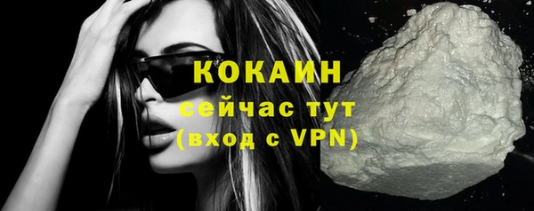 прущий лед Алзамай