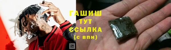 прущий лед Алзамай