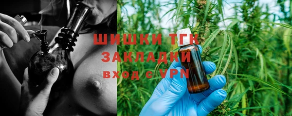 прущий лед Алзамай