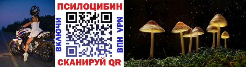Галлюциногенные грибы Cubensis  OMG сайт  Суровикино 